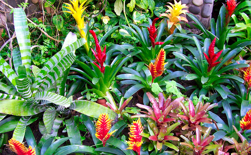 photo of Beijing Botanical Garden