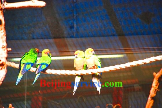 Photo of Beijing Zoo