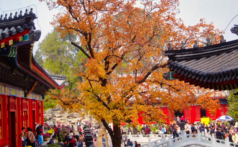 photo of Fragrant Hill Park