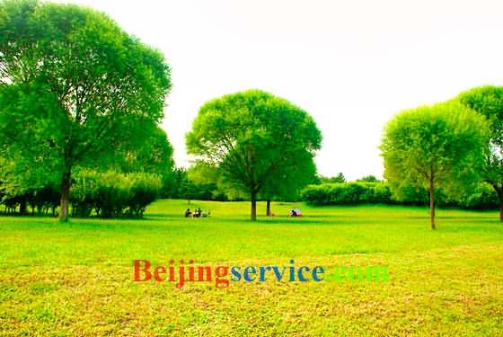 Photo of Olympic Forest Park Beijing 13
