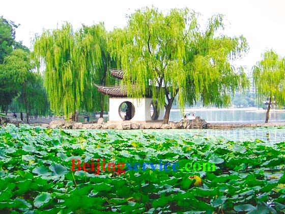 Photo of Taoranting Park Beijing 21
