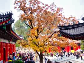 Fragrant Hill in Autumn