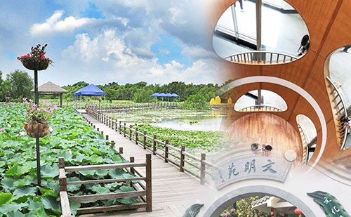 photo of Guangzhou One Day Tour to Nansha Wetlands Park Guangzhou Art Museum and Culture Park